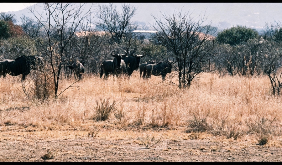 0 Bedroom Property for Sale in La Camargue Private Country Estate North West